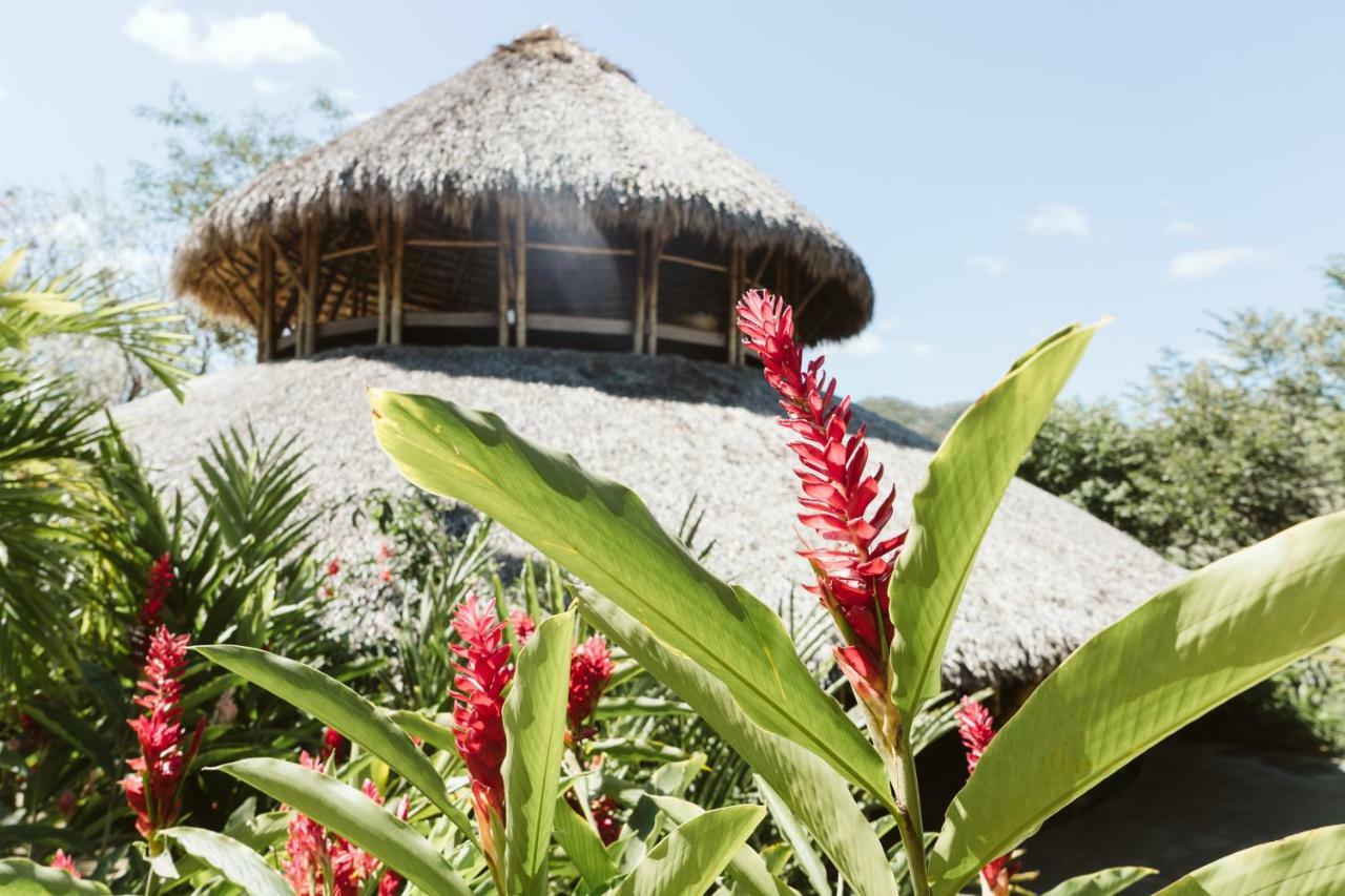Dreamsea Surf Resort Nicaragua San Juan del Sur Exteriér fotografie